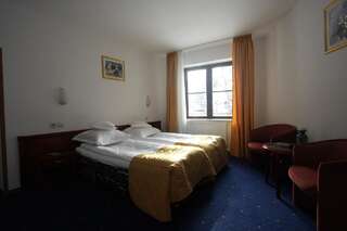 Отель Hotel Ruia Пояна-Брашов Двухместный номер с 2 отдельными кроватями-3